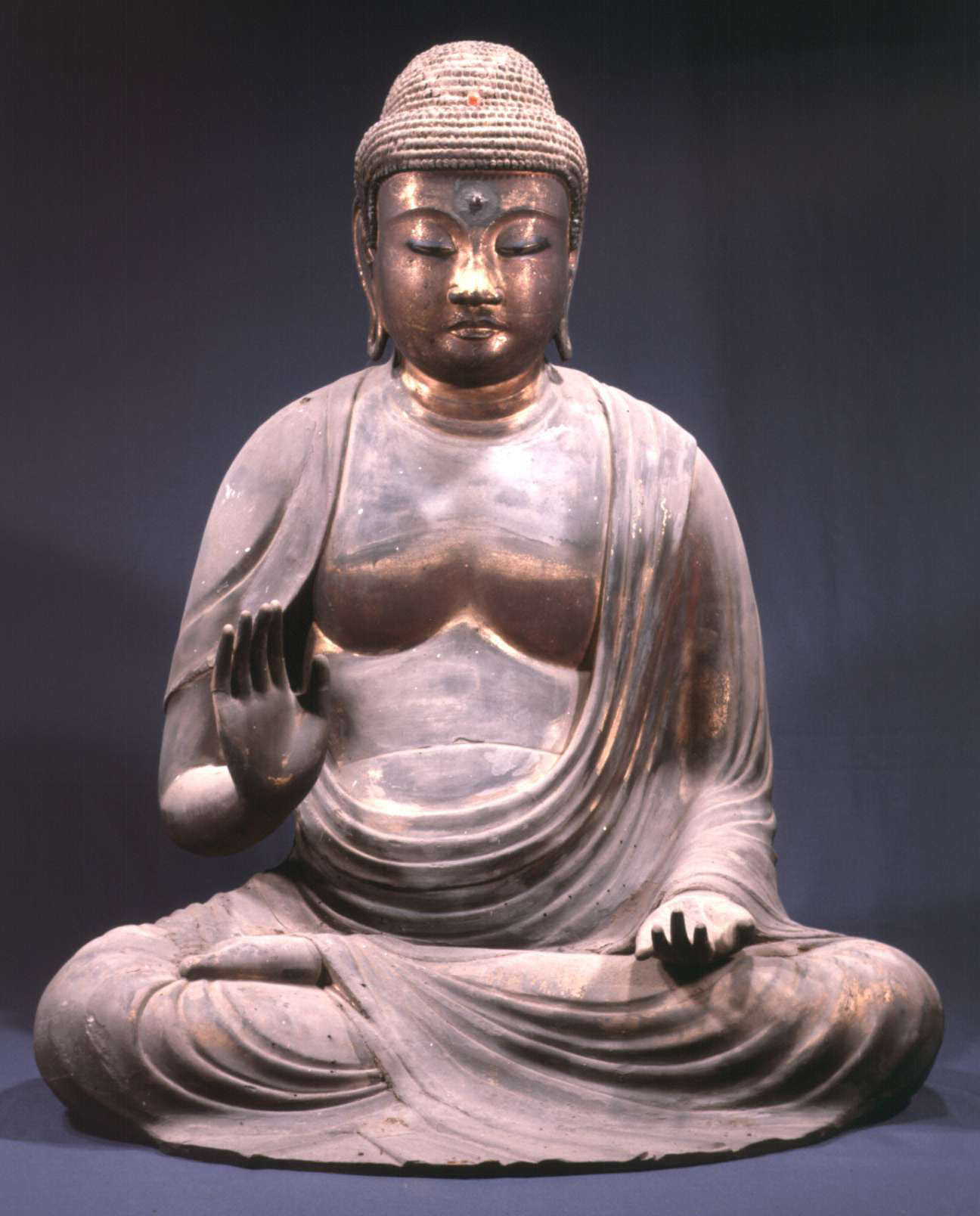 国分寺 木造阿弥陀如来坐像