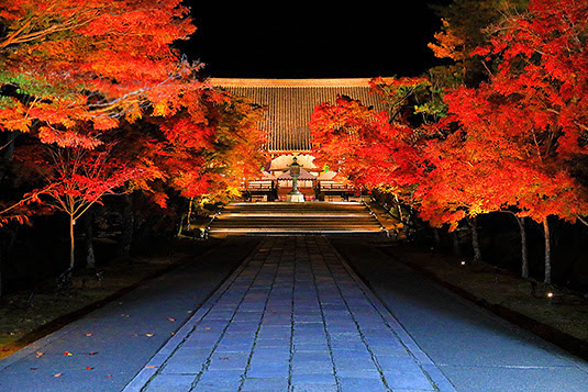 仁和寺 紅葉