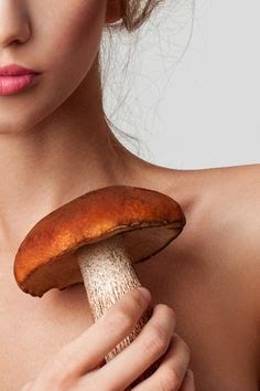 Mushroom Cosmetics | Mushroom Products and Benefits