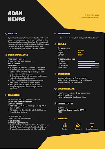 Team Leader Resume Examples