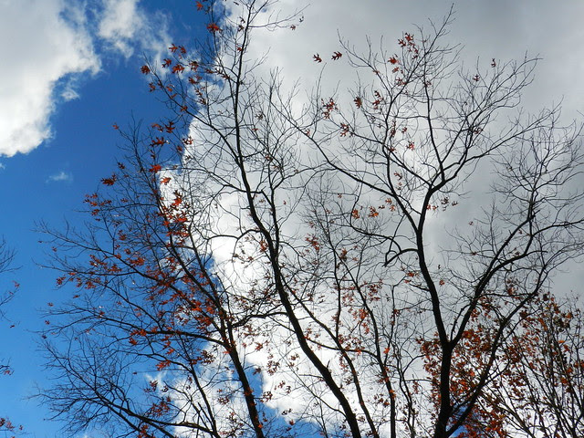 skywatokDSCN2118
