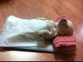 70以上 疲れ た 動物 832146-疲れた 動物 イラスト