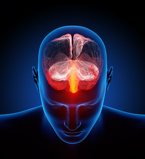 Human brain illustrated with millions of small...