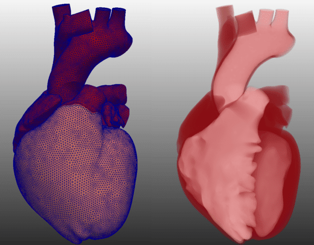 IndeX heart visualization