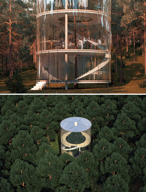 tree house forest
