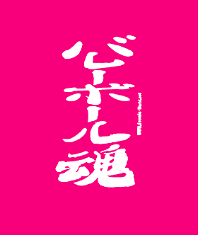 沖縄の猫はtシャツにくるまって眠る 燃えました