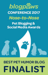 2017 BlogPaws Nose-to-Nose - BEST PET HUMOR BLOG FINALIST badge