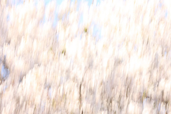 white noise