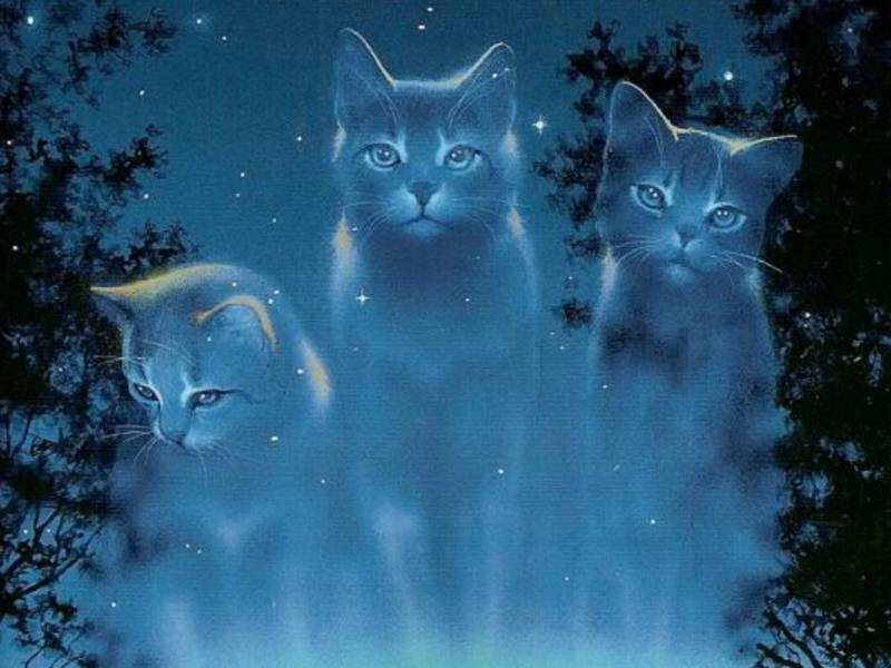 Warrior Cats