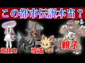 √無料でダウンロード！ ��ケモンsm ガルーラ 500939-ポケモンsm ガルーラ