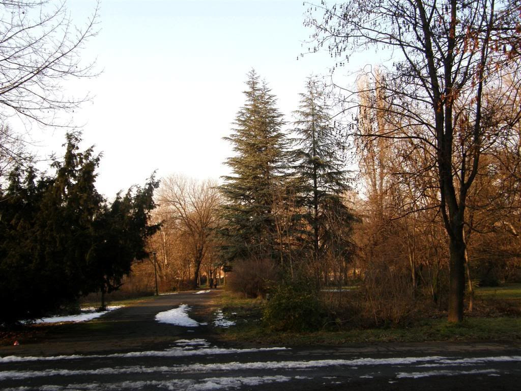 http://i493.photobucket.com/albums/rr299/volan-sk/0Large-1.jpg?t=1232903287