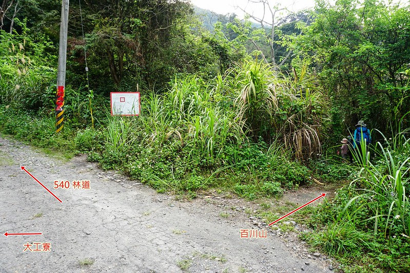 DSC09539