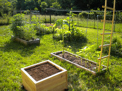 The Backyard Garden