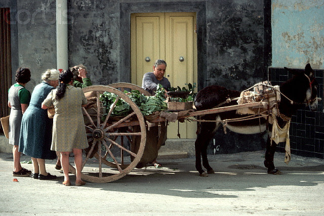 Street Vendor Sells Vegetables, Malta