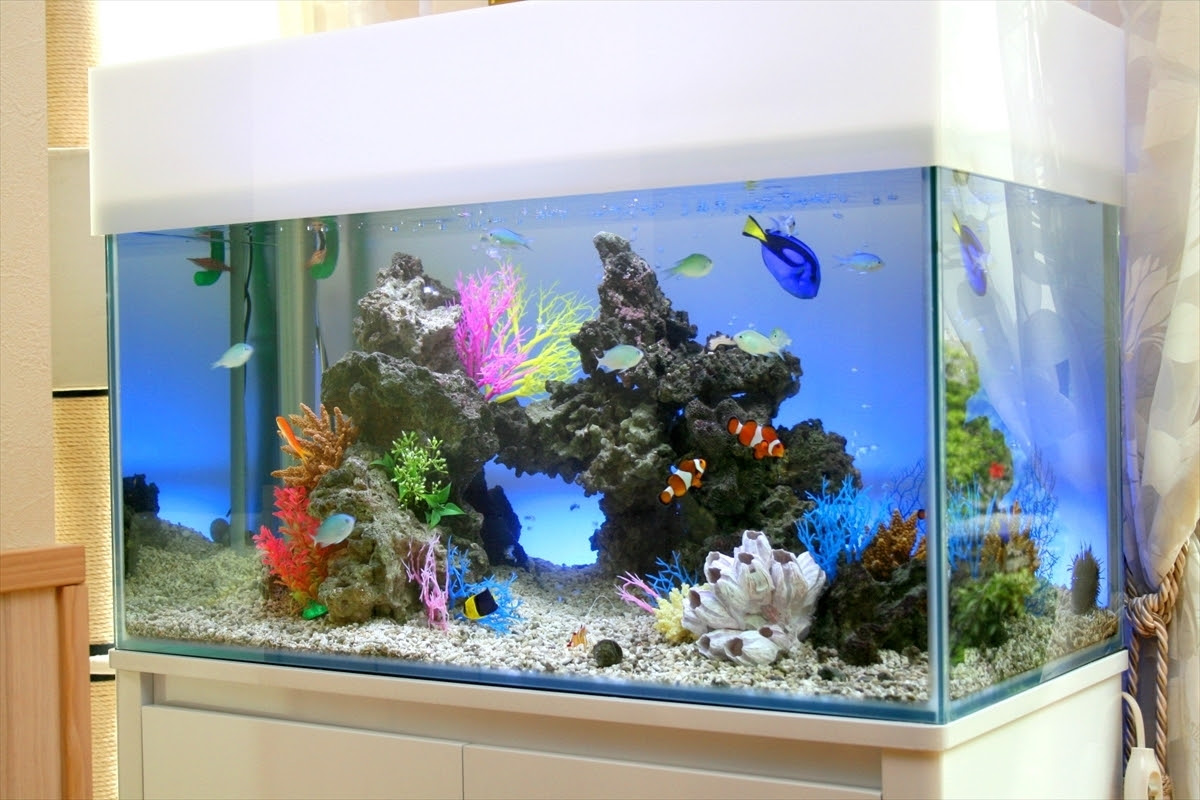 埼玉県春日部市の個人邸が海水魚水槽を導入 水槽レンタルサービス埼玉