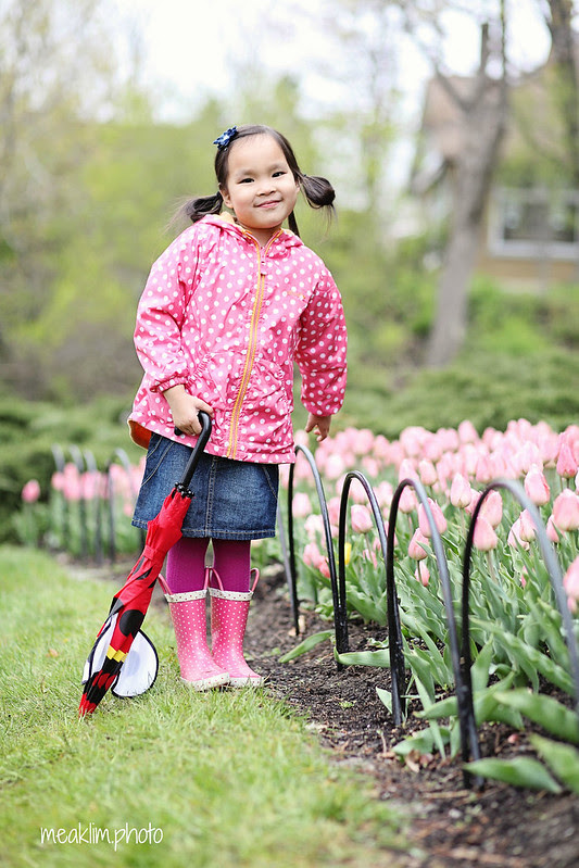 ottawa tulip festival - 2012