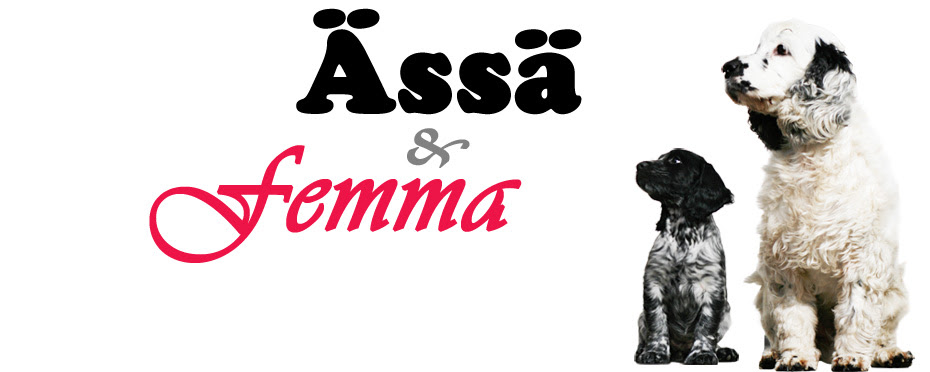 Ässä ja Femma