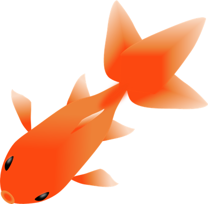 上から見た赤い金魚のイラスト 無料イラスト素材 ちいさないきもの