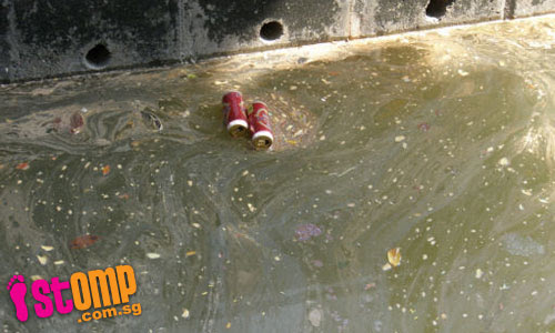  Penjuru Road canal polluted with oil and other liquids