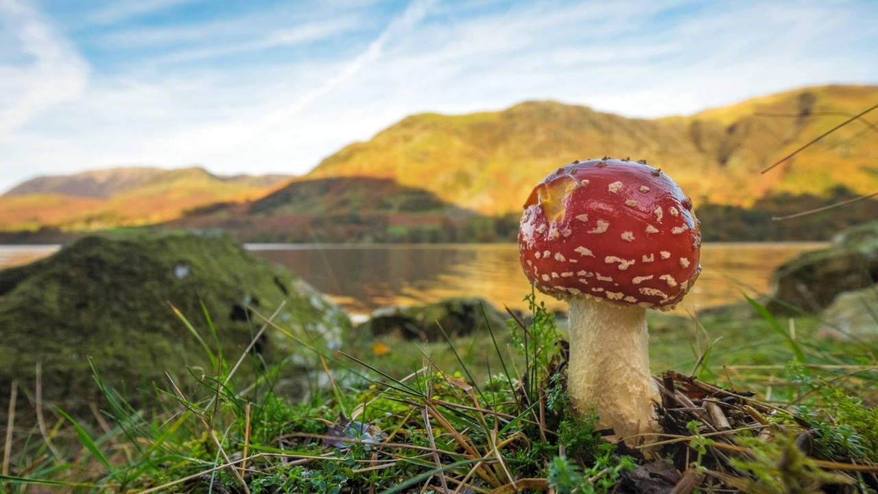 Potter spent a great deal of time in the Lake District (Credit: Credit: Anna Marlow/Alamy)