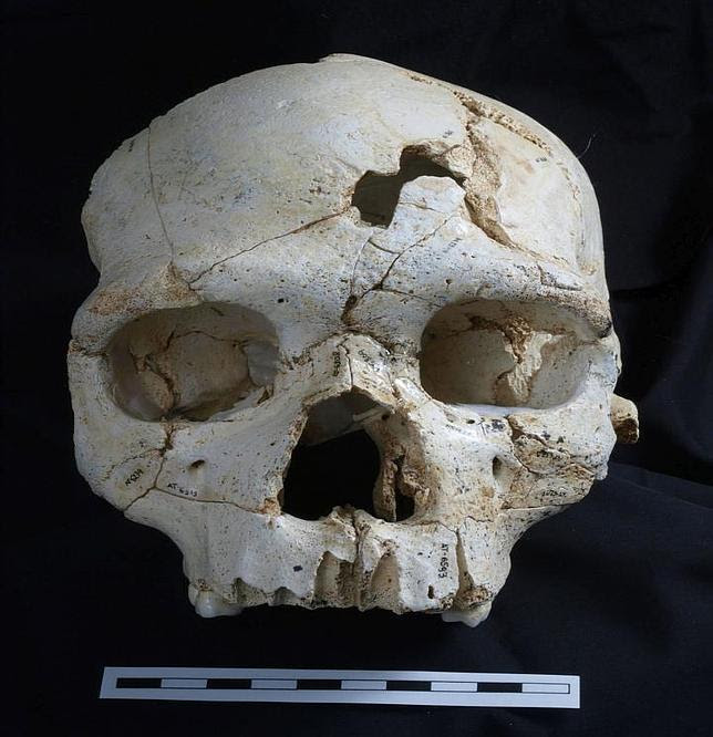 Resuelto el primer asesinato de la Historia