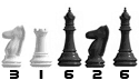 Web Site Counter
