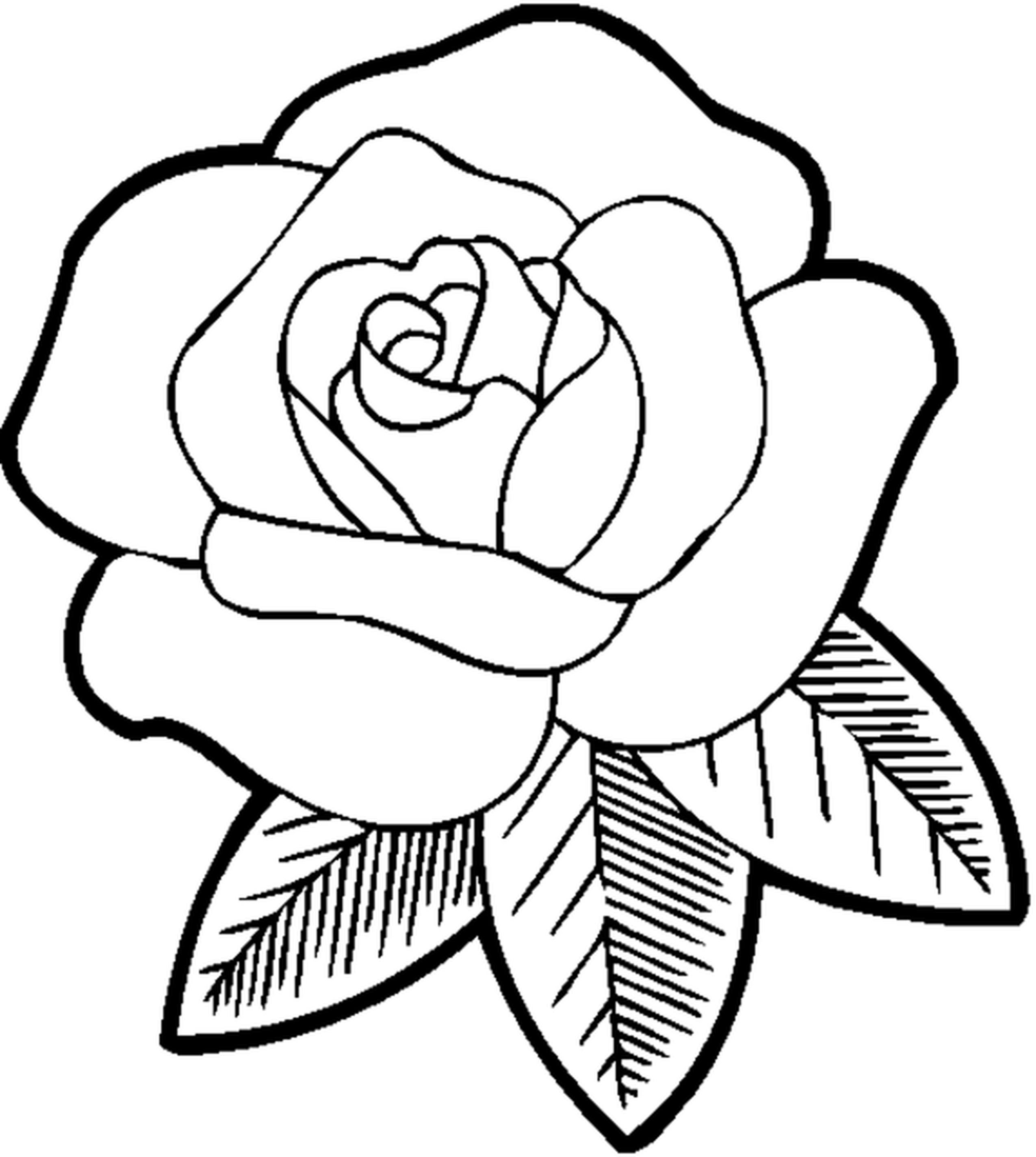 Single Flower Simple Flower Coloring Pages For Adults All Round Hobby