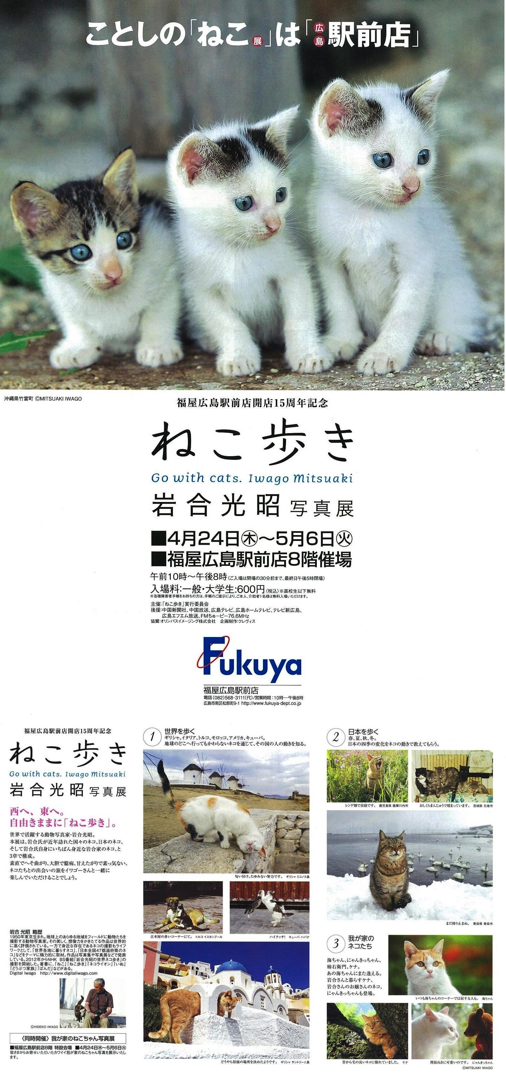 写真展 ねこ歩き オフィシャルサイト
