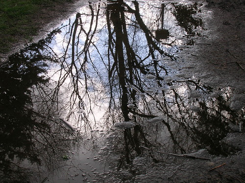 puddle reflection