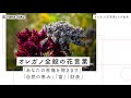 √100以上 薄荷 花言葉 怖い 543344-薄荷 花言葉 怖い
