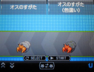 テトのひだまり日記 色違いイシズマイ