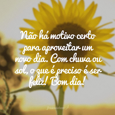 Frases bonitas de bom dia