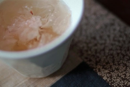 sakura-cha (tea of cherry blossom) by +akane+
