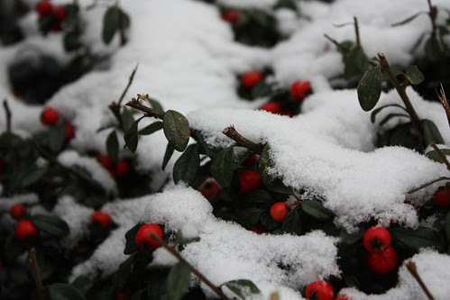 first snow