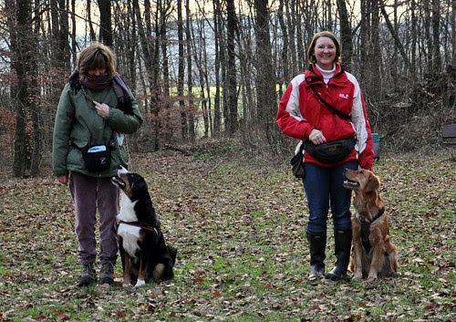 hundeschule DSC_0328 picture photo bild