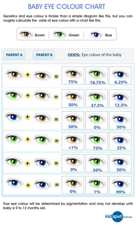  babys eye color babycenter