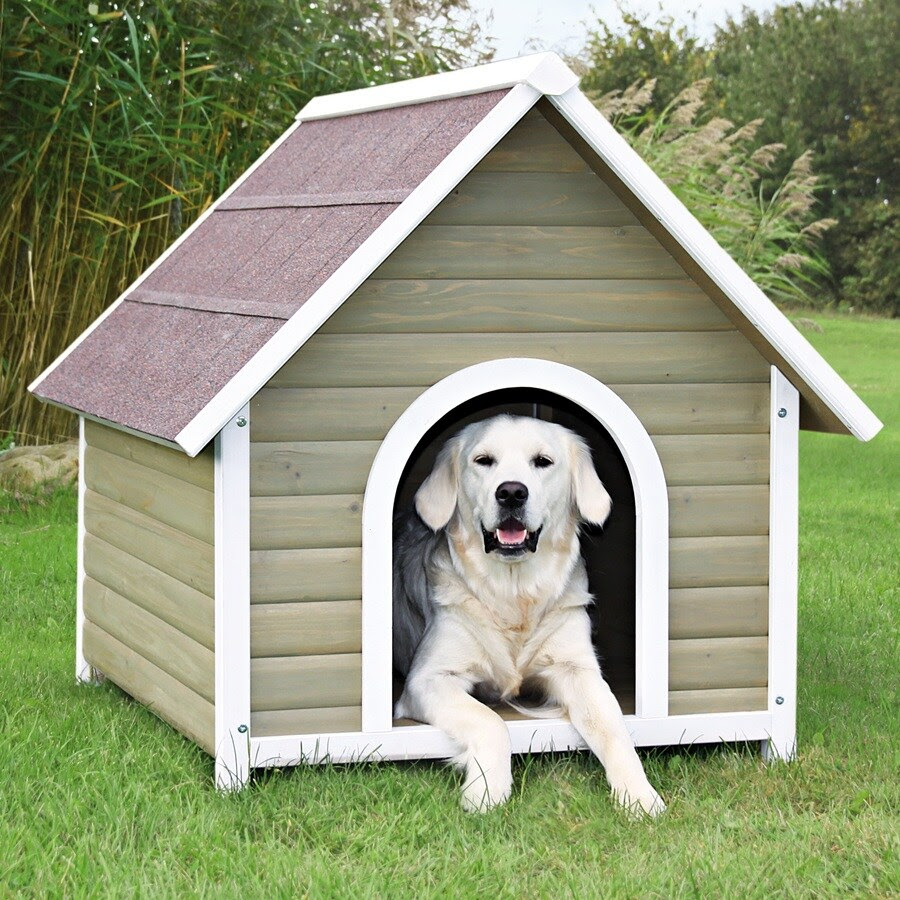 Shop Trixie Pet Products 3.104-ft x 2.937-ft x 3.458-ft ...