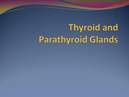 mcgraw hill glycogenolysis âSynthesis Thyroid Gland Part function 2 and Chapter Thyroid of 18