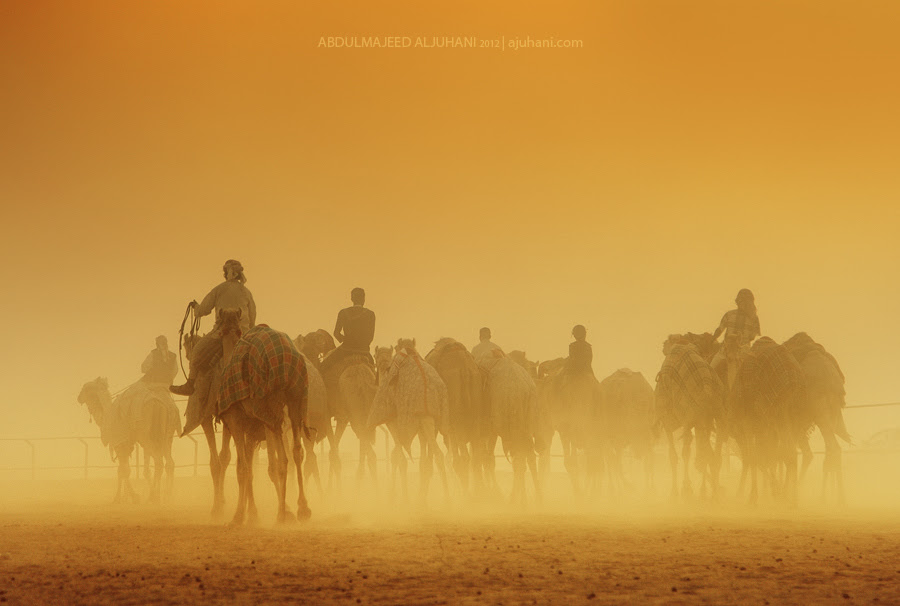 500px favs, rg443