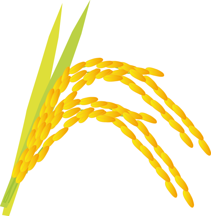 稲 新米 秋のイラスト 無料イラスト