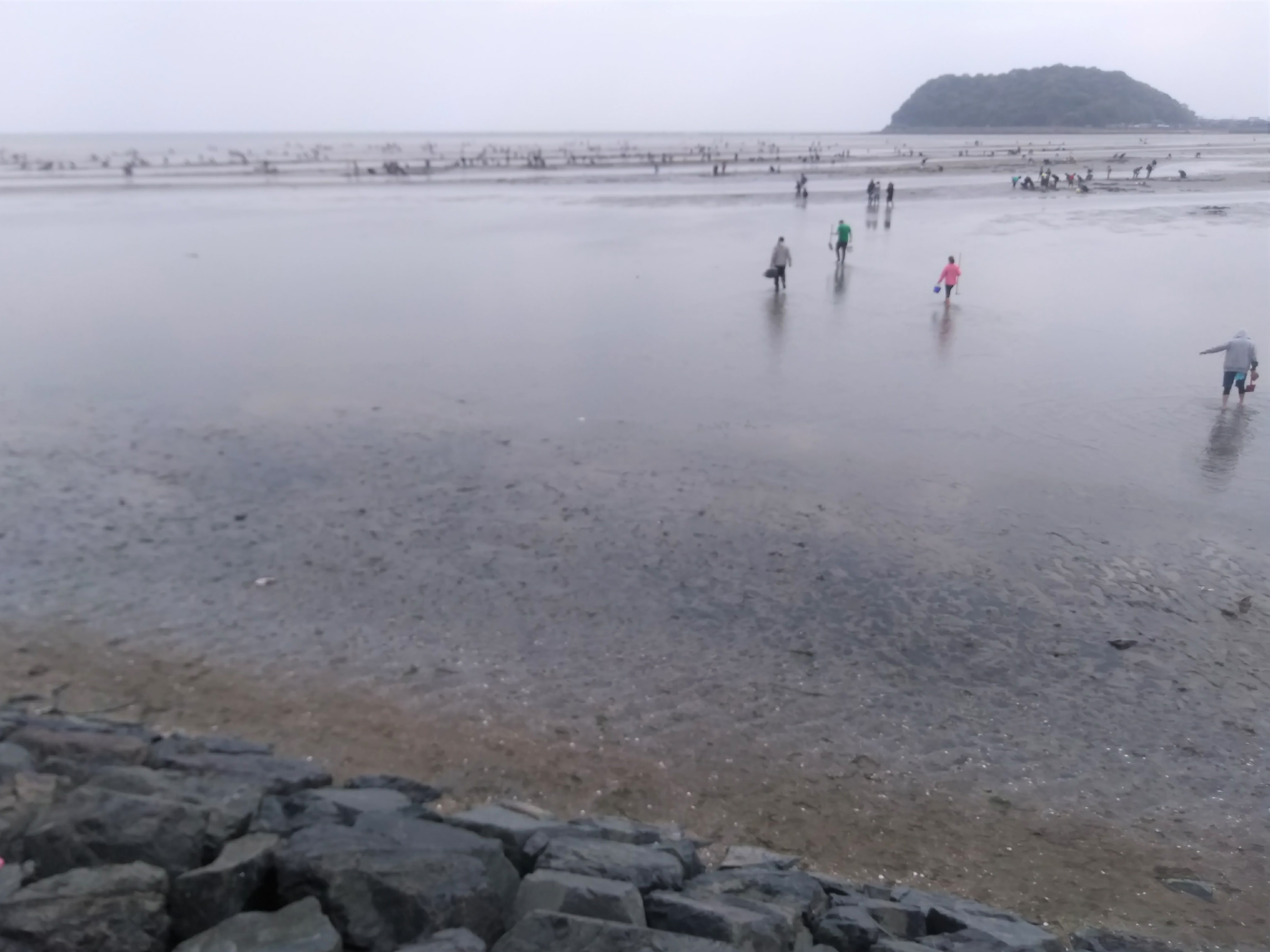 今年もシーズンがやってきた 福岡 苅田でマテ貝潮干狩り 片付けコンサルティング福岡 片付けならatta Atta