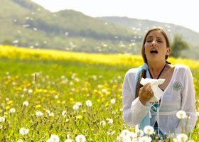  Pollen disease  