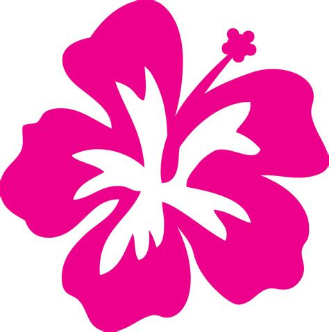  free hibiscus flower template free templates printable