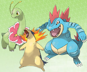 ついにメガニウム バクフーン オーダイルの隠れ特性がもうすぐ解禁か ポケモン情報ねっと