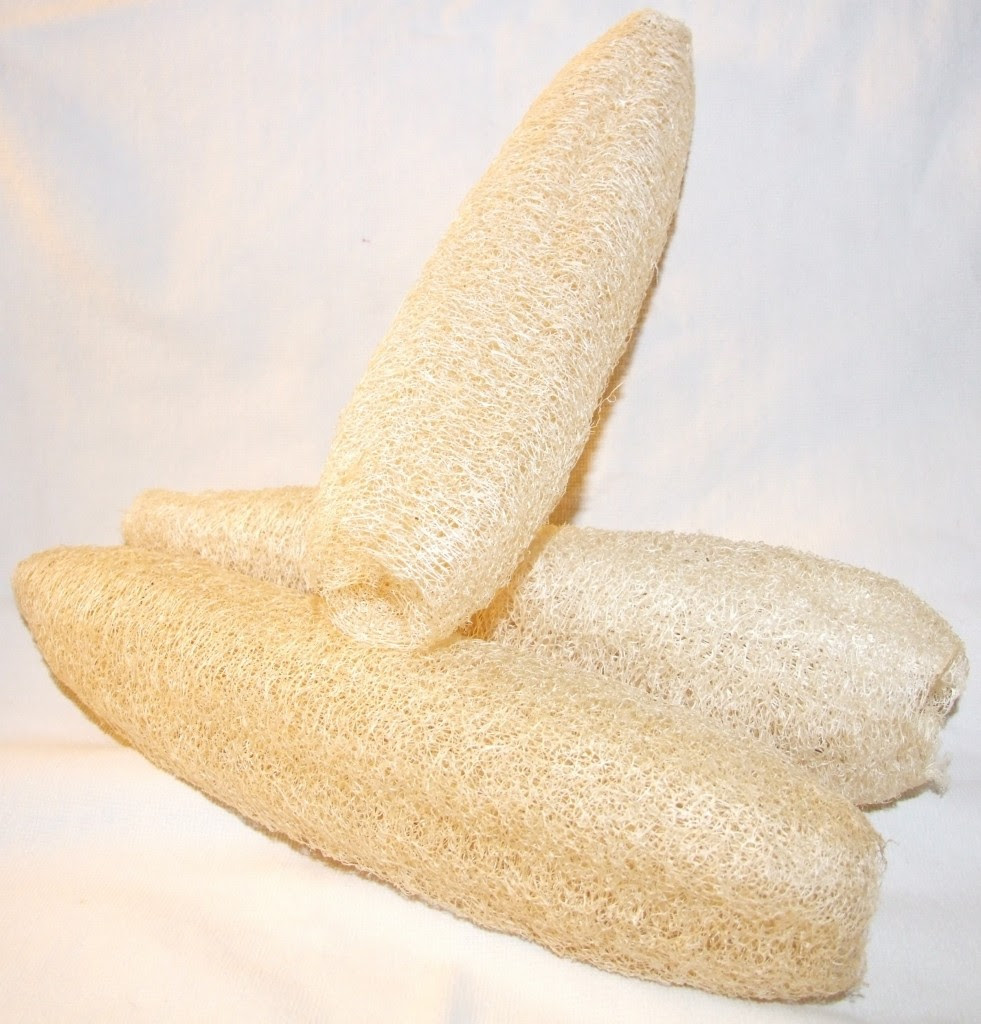 lufa gourds and sponges aquaponic lynx llc