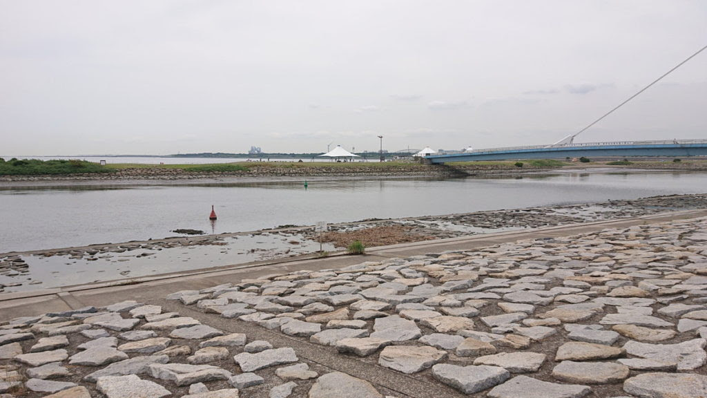 葛西臨海公園の釣り情報 Chigyo Fishing