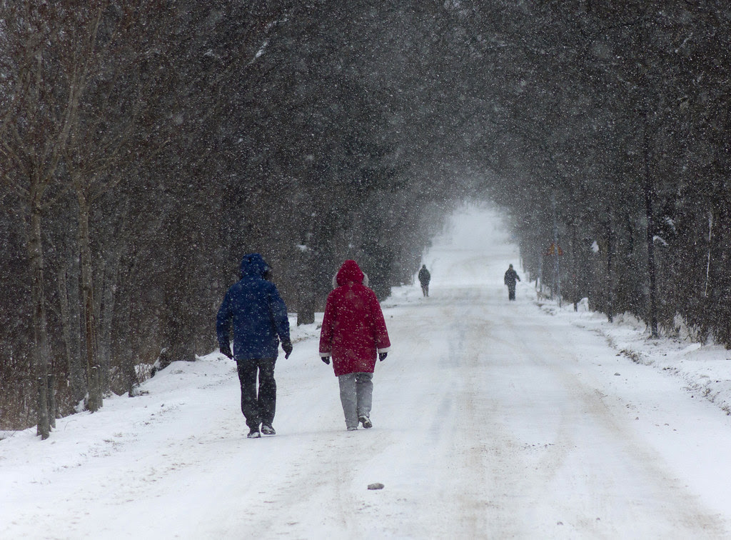 A Winter Promenade