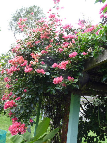 ABRIL 2011 258(1)