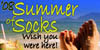 summerofsox08