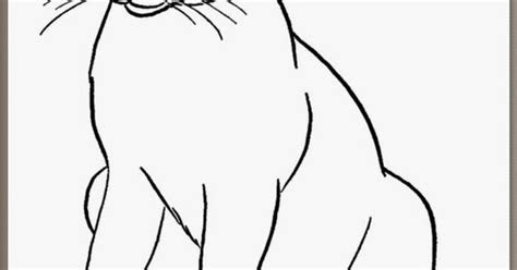 gambar mewarnai kucing gambar mewarnai pinterest